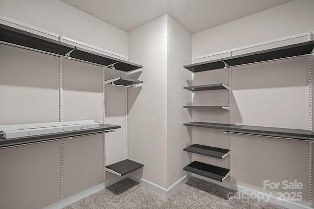 spacious closet with carpet flooring