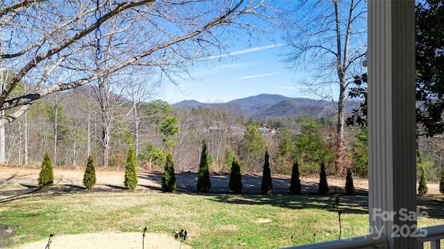 Listing photo 3 for 86 Echo High Rd, Franklin NC 28734