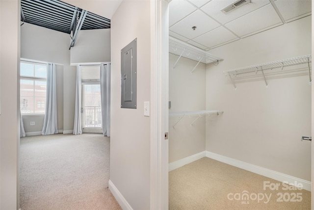 spacious closet featuring a paneled ceiling, carpet, visible vents, and electric panel