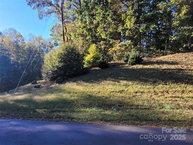 Listing photo 2 for 0 Cleghorn Mill Rd Unit 6, Rutherfordton NC 28139