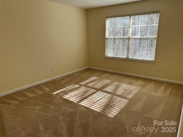 unfurnished room with baseboards and carpet flooring