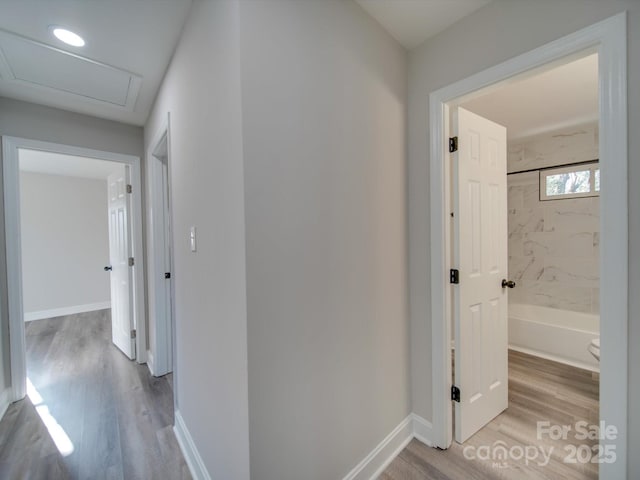 hallway featuring baseboards and light wood-style floors