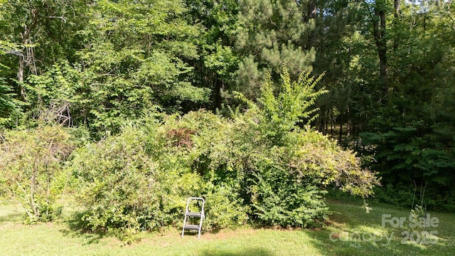 912 Silver Charm Ln, York, SC 29745 - view of tree filled area