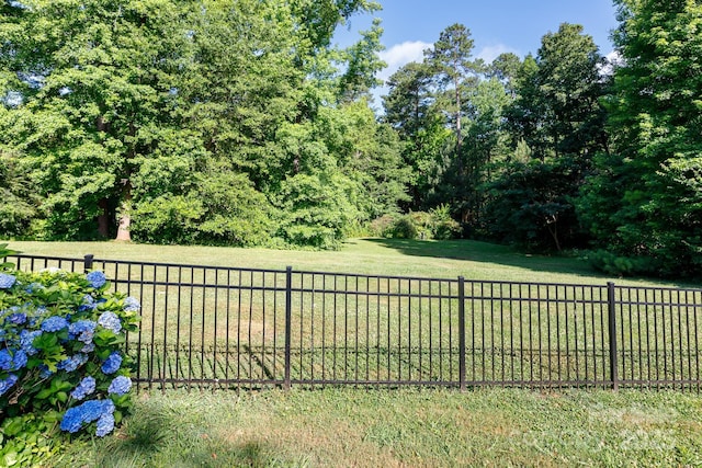 912 Silver Charm Ln, York, SC 29745 - view of yard