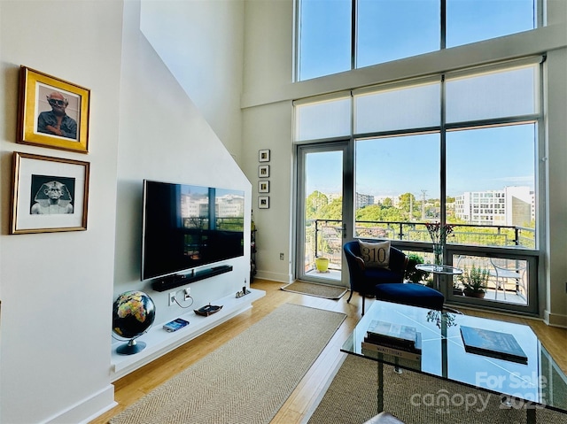 living room with wood finished floors, a towering ceiling, and baseboards