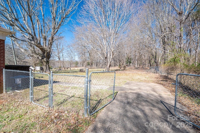 view of yard with fence and a gate