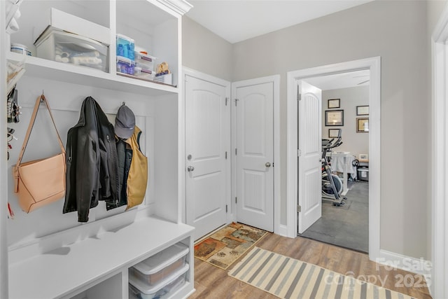 mudroom featuring wood finished floors