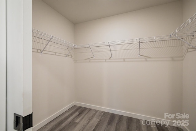 walk in closet with dark wood-style flooring