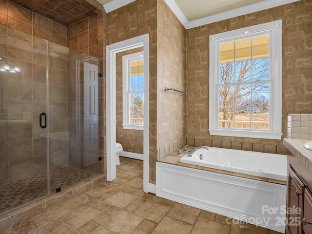 bathroom featuring toilet, a stall shower, vanity, and a healthy amount of sunlight