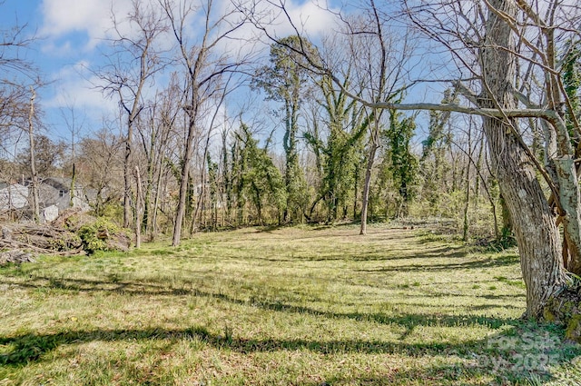 view of yard featuring a wooded view