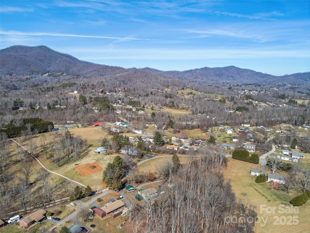 aerial view with a mountain view