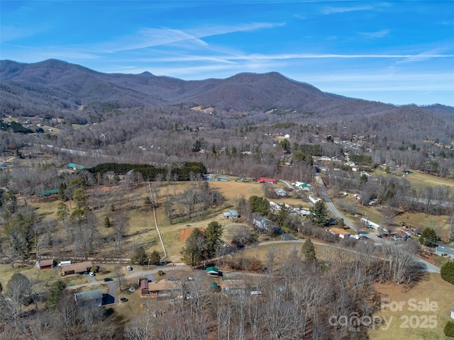 bird's eye view with a mountain view