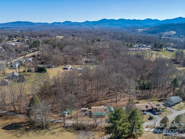 birds eye view of property featuring a mountain view