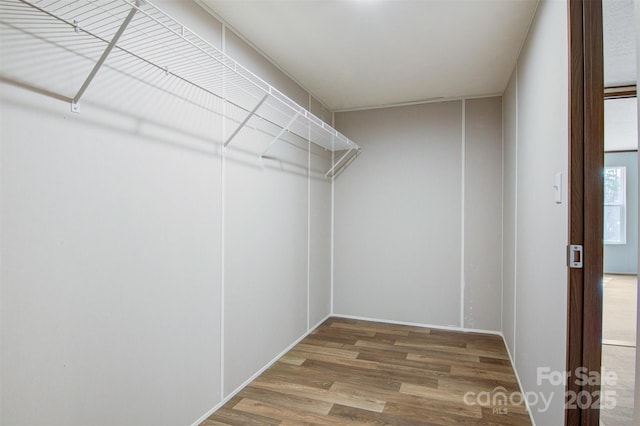 walk in closet with wood finished floors