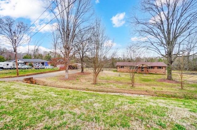 view of yard with dirt driveway