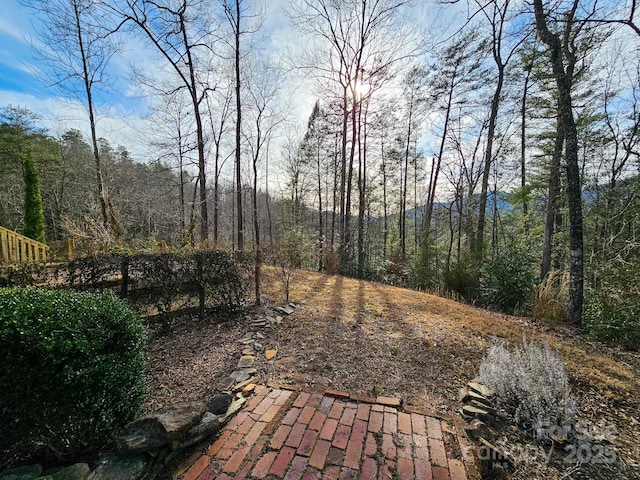 view of yard with a wooded view