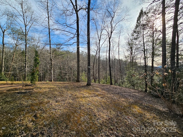 view of local wilderness with a wooded view