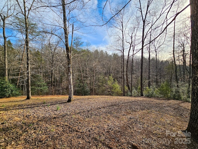 view of local wilderness featuring a wooded view