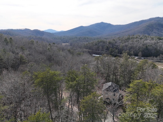 property view of mountains featuring a view of trees