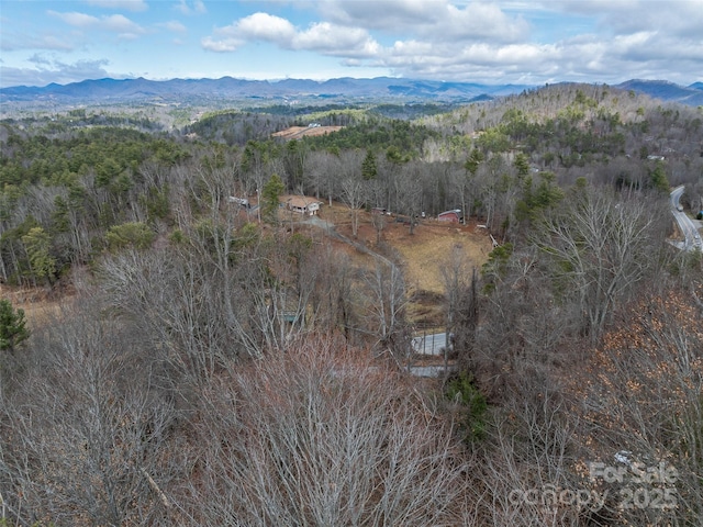 99999 Barnardsville Hwy, Weaverville NC, 28787 land for sale