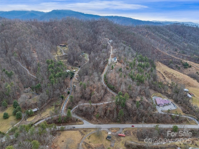 Listing photo 3 for 99999 Barnardsville Hwy, Weaverville NC 28787