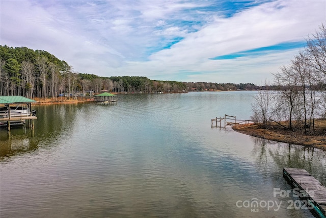 property view of water featuring a boat dock and a view of trees