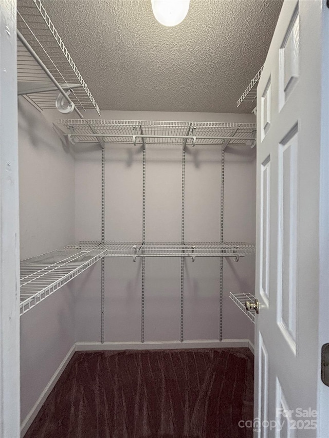 spacious closet with carpet floors