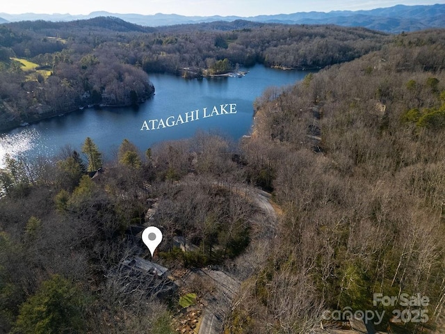 aerial view with a view of trees and a water and mountain view