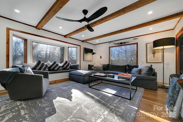 living area with plenty of natural light, wood finished floors, beam ceiling, and a ceiling fan