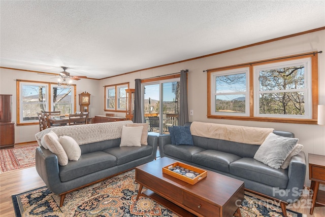 living area featuring a textured ceiling, ornamental molding, wood finished floors, and a ceiling fan