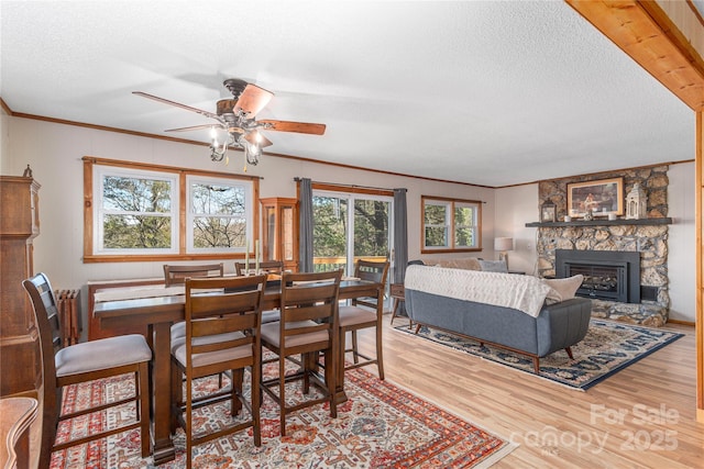 dining room with a textured ceiling, a fireplace, wood finished floors, a ceiling fan, and crown molding