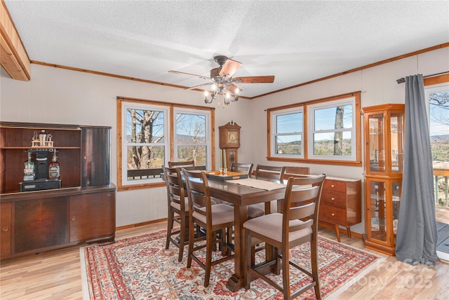 dining space with a textured ceiling, a ceiling fan, light wood-style flooring, and crown molding