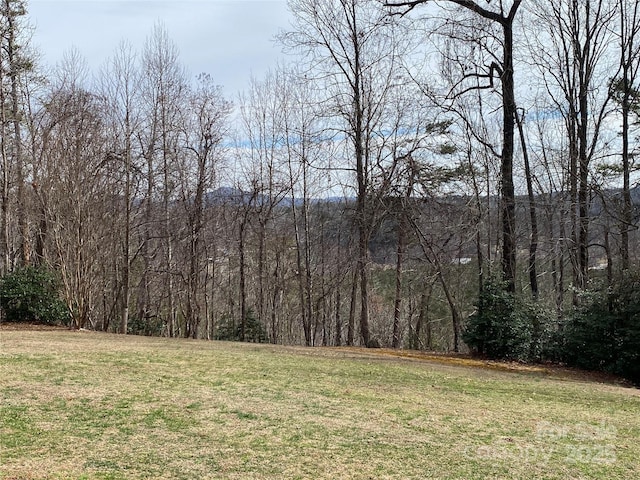 view of yard featuring a forest view