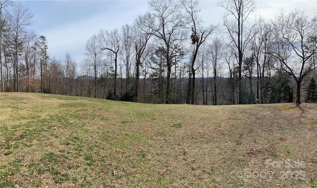 view of yard featuring a forest view