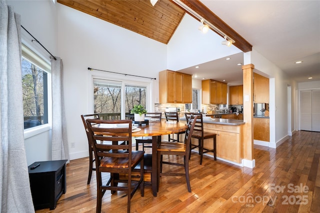 dining room featuring baseboards, plenty of natural light, and light wood-style floors