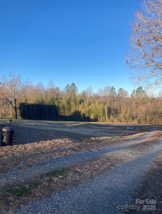 view of road featuring a wooded view