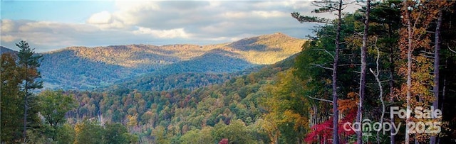 11 Franklin Trace Dr Unit 15, Asheville, NC 28804