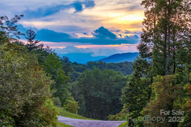 11 Franklin Trace Dr Unit 15, Asheville, NC 28804