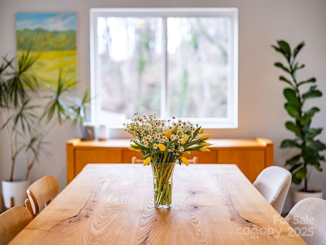 dining area with a wealth of natural light