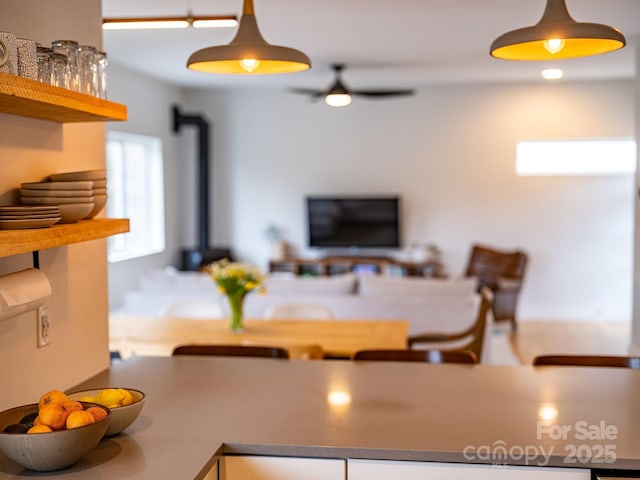 living area featuring a wood stove