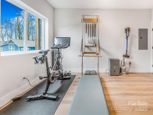 exercise room featuring electric panel, wood finished floors, and baseboards