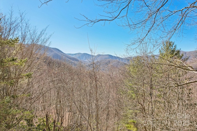 view of mountain feature with a view of trees