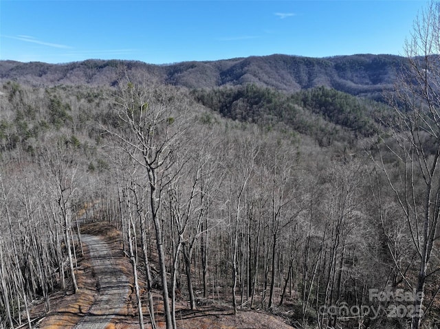 6485 Buffalo Cove Rd, Lenoir NC, 28645 land for sale