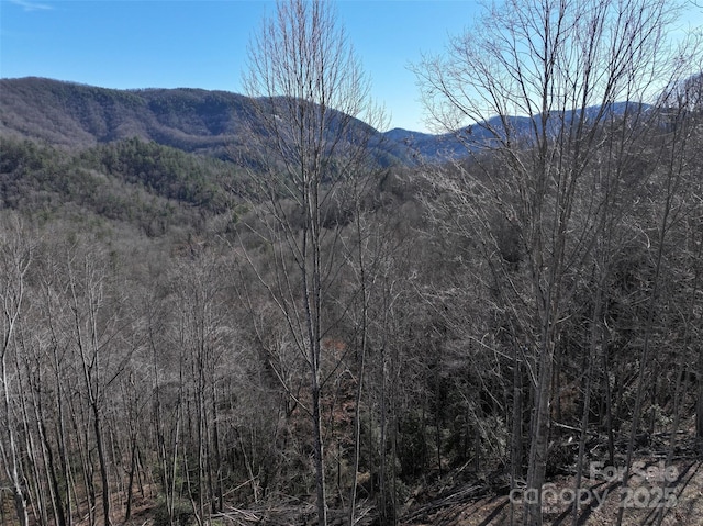 Listing photo 3 for 6485 Buffalo Cove Rd, Lenoir NC 28645