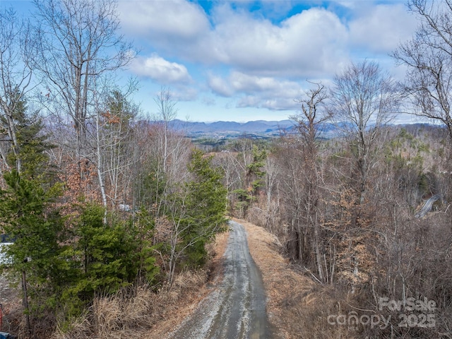 99999-2 Barnardsville Hwy, Weaverville NC, 28787 land for sale