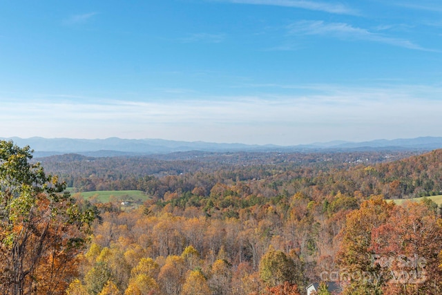 property view of mountains with a forest view