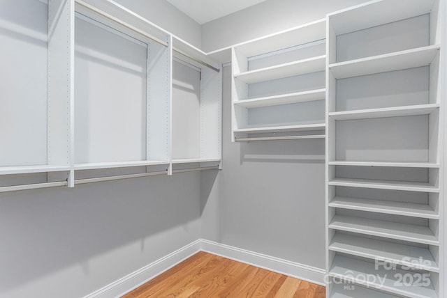 walk in closet featuring wood finished floors