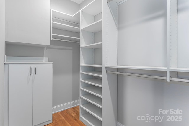 spacious closet featuring light wood-style flooring