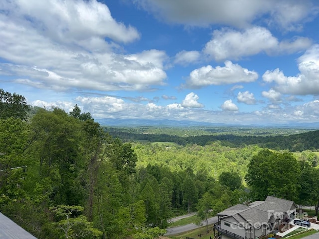 54 Herron View Ln, Weaverville, NC 28787 - bird's eye view of a heavily wooded area