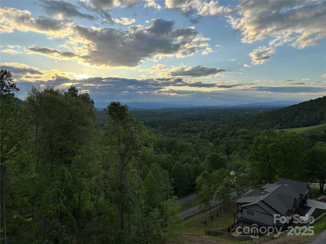 54 Herron View Ln, Weaverville, NC 28787 - mountain view featuring a heavily wooded area
